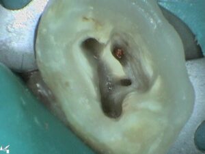 町田市南成瀬・成瀬デンタルオフィス